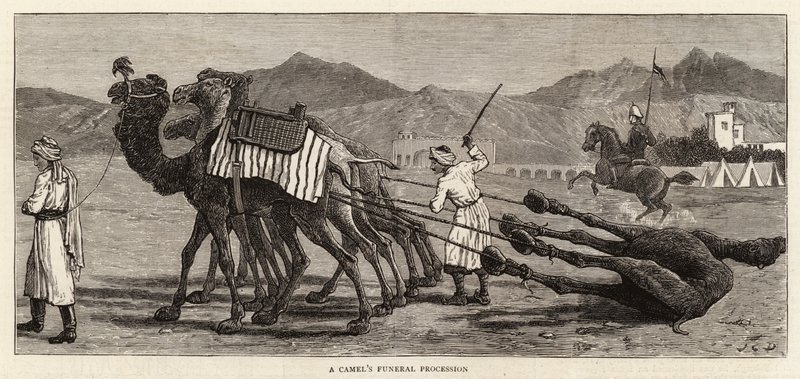 Velbloudí pohřební průvod od John Charles Dollman