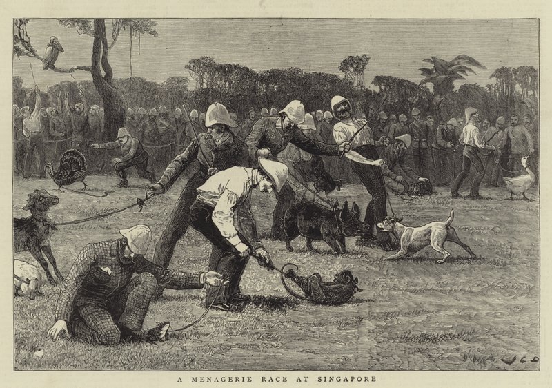Závod zvěřinců v Singapuru od John Charles Dollman