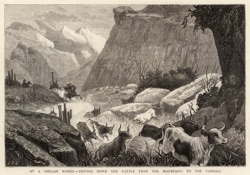 Na chilském rodeu, sjíždění dobytka z hor do ohrad od John Charles Dollman