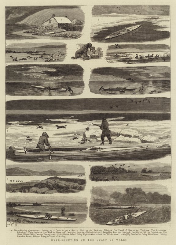 Kachní střelba na pobřeží Walesu od John Charles Dollman