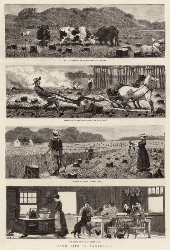 Život na farmě v Kanadě, II od John Charles Dollman