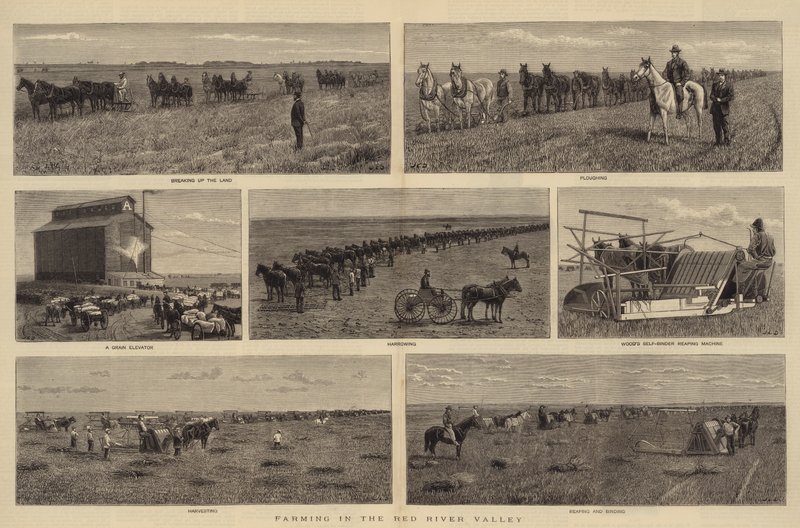 Zemědělství v údolí řeky Red River od John Charles Dollman