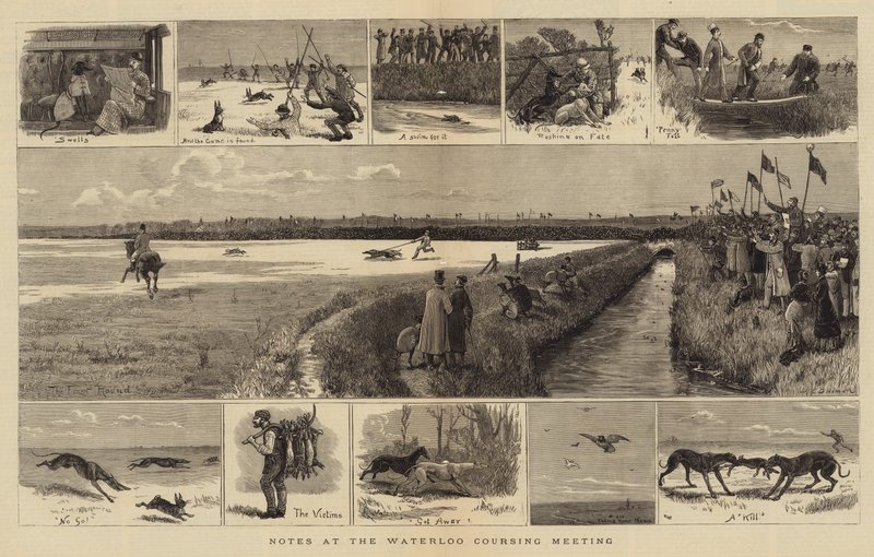 Poznámky na Waterloo Coursing setkání od John Charles Dollman