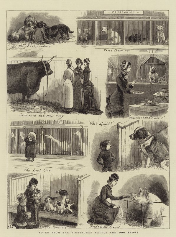 Zápisky z birminghamských výstav skotu a psů od John Charles Dollman