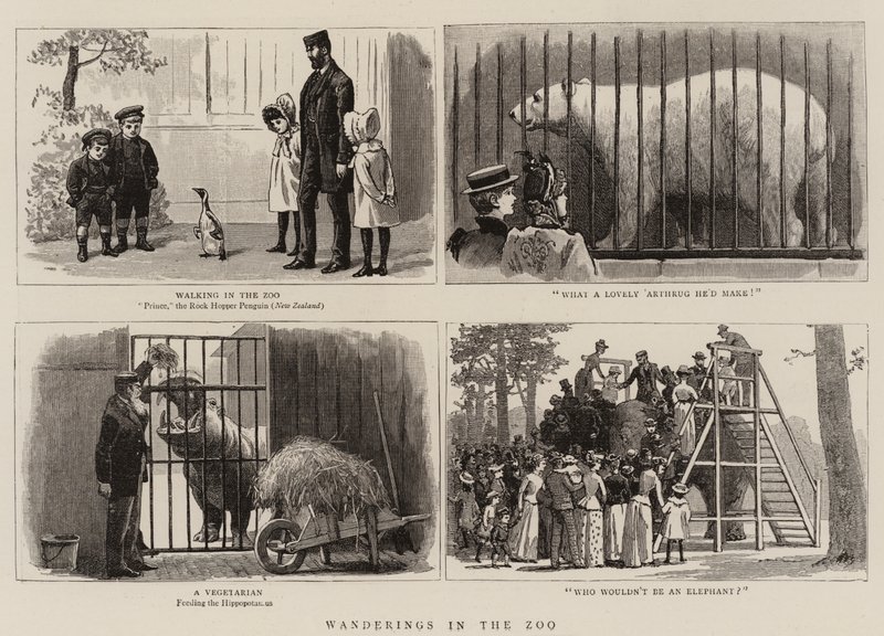 Toulky v ZOO od John Charles Dollman