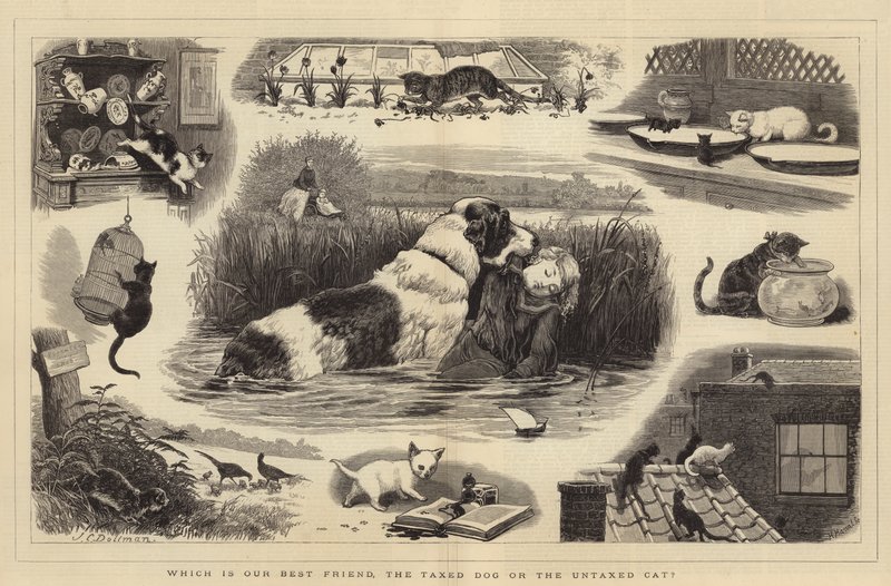 Což je náš nejlepší přítel, zdaněný pes nebo nezdaněná kočka od John Charles Dollman