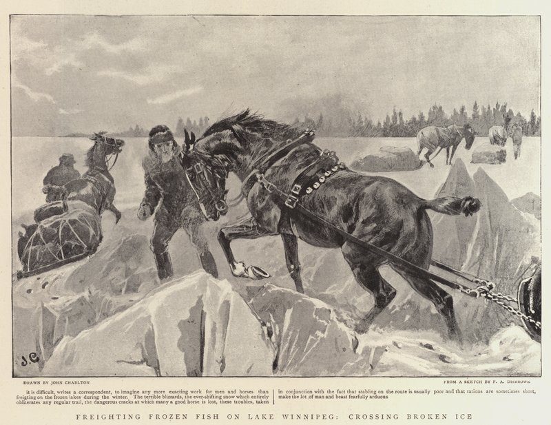 Přeprava mražených ryb na jezeře Winnipeg, přejezd Broken Ice od John Charlton