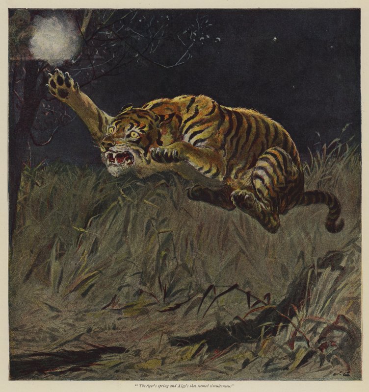 Ilustrace pro nabídku svobodné vůle od B M Corkera od John Charlton