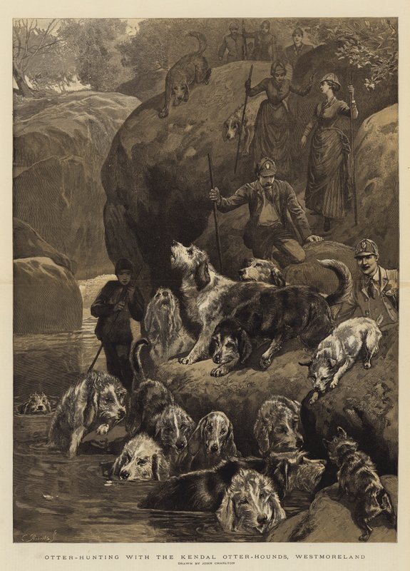 Lov vyder s Kendal Otter-Hounds, Westmoreland od John Charlton