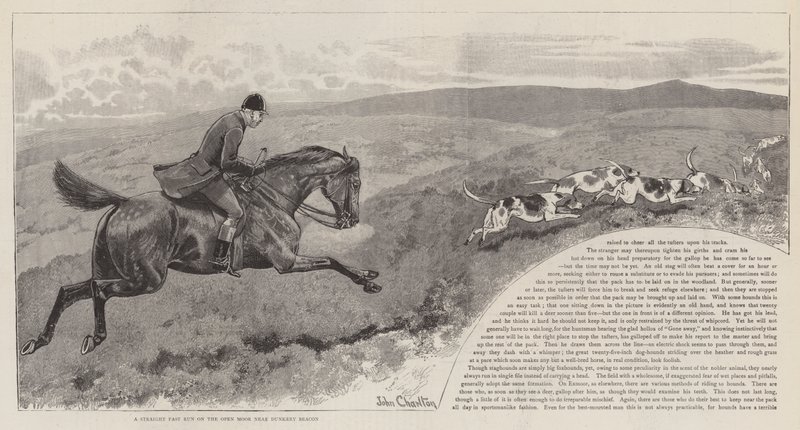 Honba za divokými jeleny na Exmooru od John Charlton