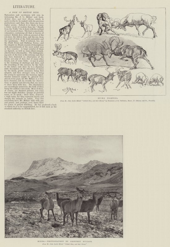 Kniha o britských jelenech od John Guille Millais