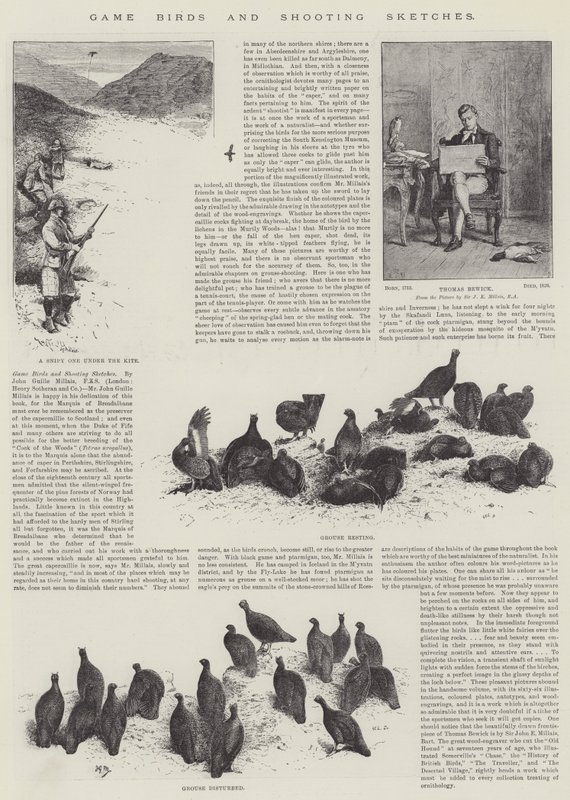 Hra Ptáci a náčrtky střelby od John Guille Millais