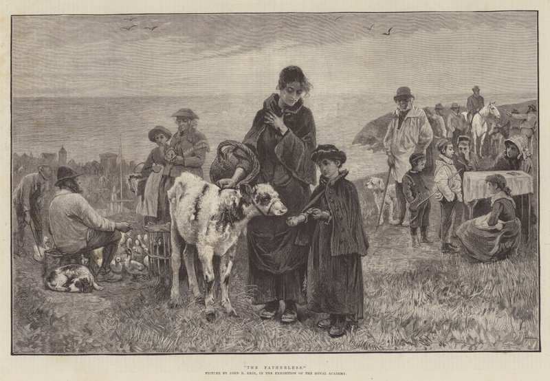 Bez otce od John Robertson Reid