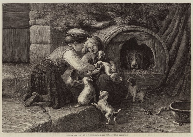 Mezi mazlíčky od John William Bottomley