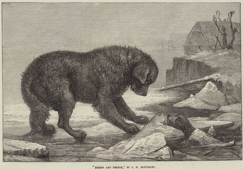 Erebus a teror od John William Bottomley