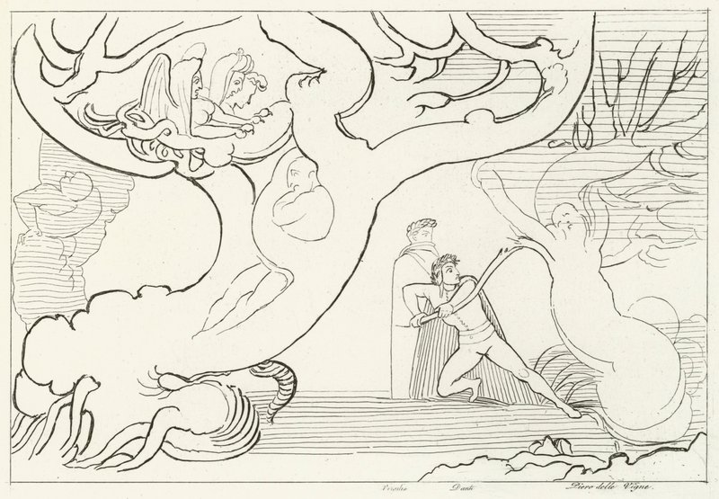 Forest of Harpies, Inferno, Canto 13 (rytina) od John (after) Flaxman