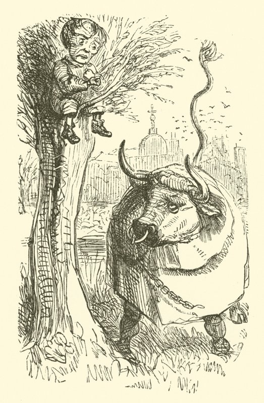 Býk a chlapec (rytina) od John (after) Leech