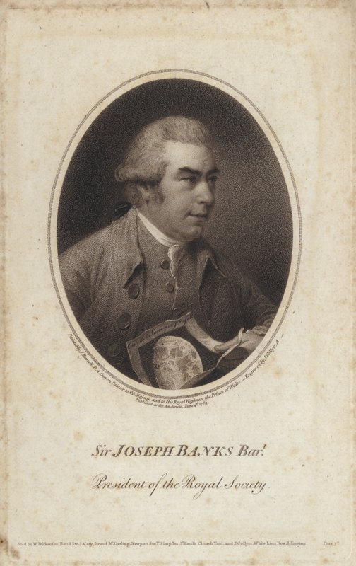 Sir Joseph Banks , anglický přírodovědec, botanik a prezident Royal Society (rytina) od John (after) Russell