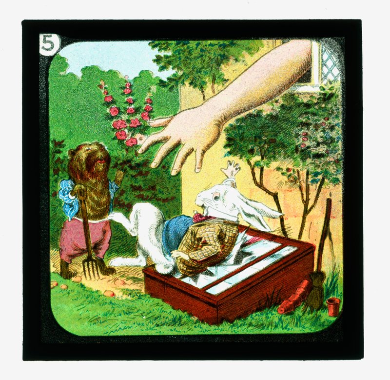 Alenka v říši divů, sklíčka s barevnými lucernami (skluzavka s lucernami) od John (after) Tenniel