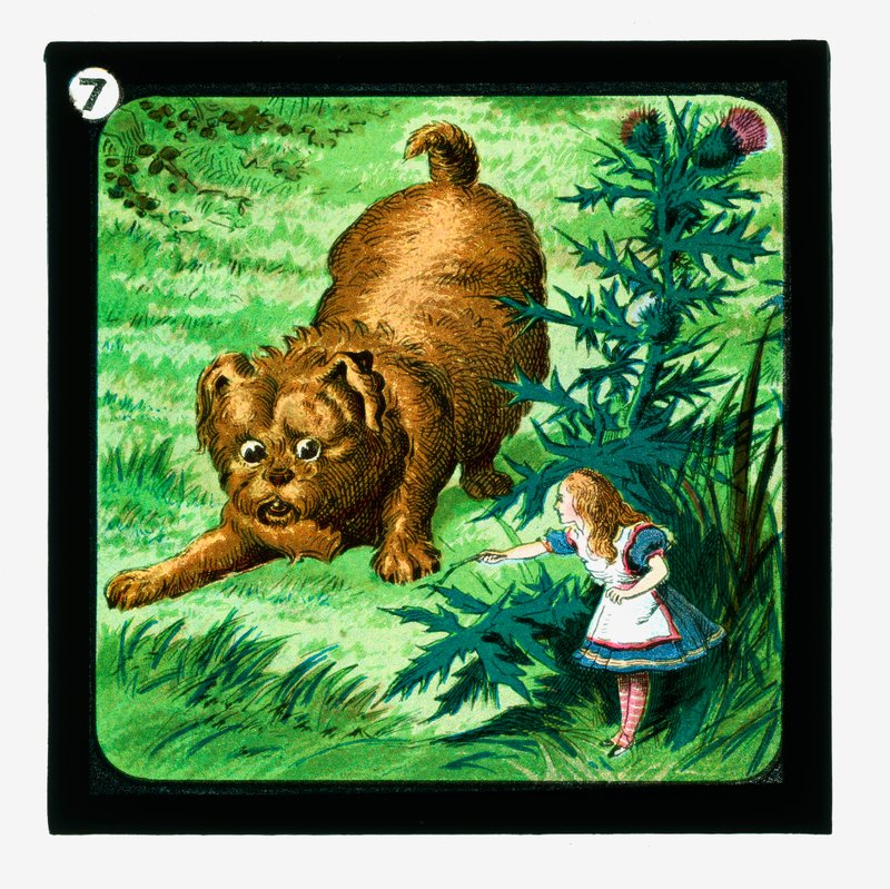 Alenka v říši divů, sklíčka s barevnými lucernami (skluzavka s lucernami) od John (after) Tenniel