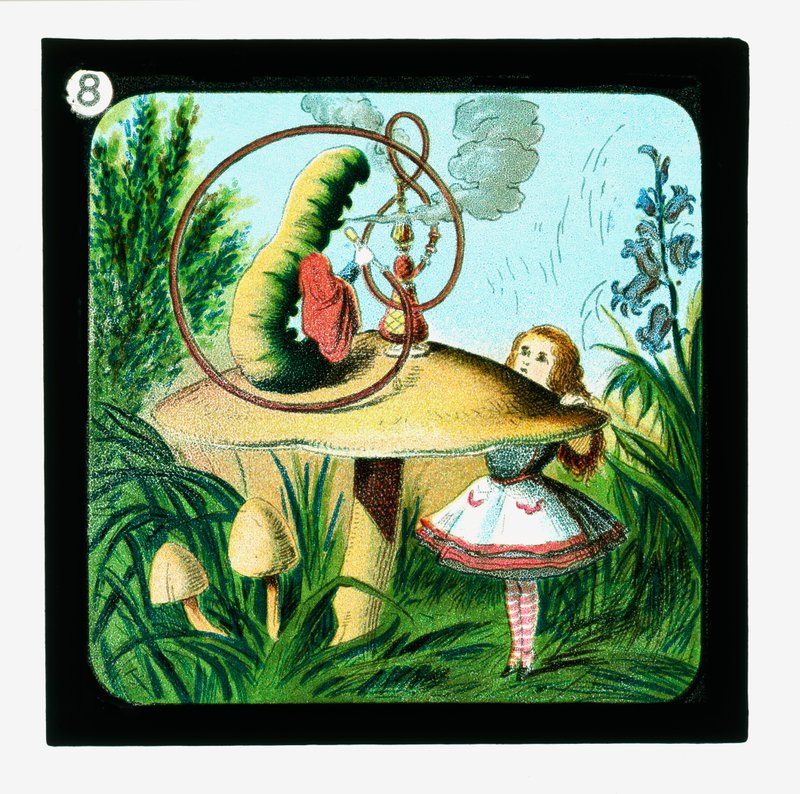 Alenka v říši divů, sklíčka s barevnými lucernami (skluzavka s lucernami) od John (after) Tenniel