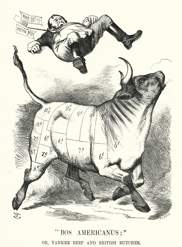 Punch cartoon: Bos Americanus; nebo Yankee Beef and British Butcher - očekávané výhody pro spotřebitele z dovozu amerického masa (rytina) od John (after) Tenniel