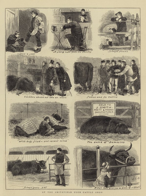 Na Smithfield Club Cattle Show od John Charles Dollman