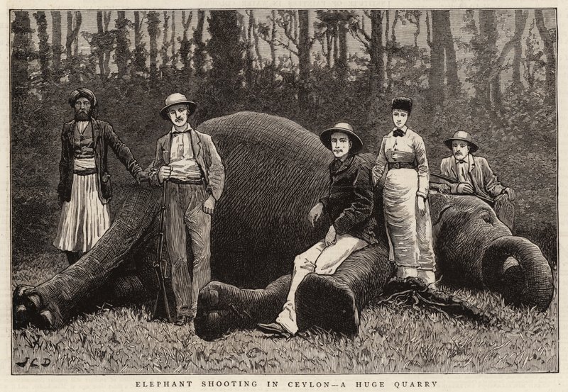 Střelba slonů na Cejlonu, obrovském lomu od John Charles Dollman