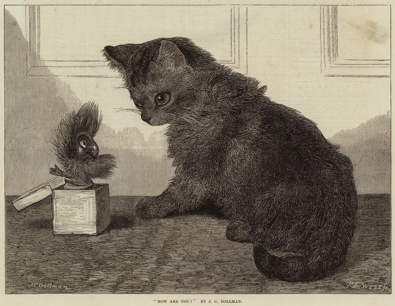 Jak se máte od John Charles Dollman