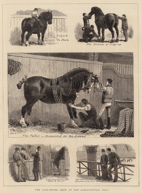 Cart-Horse Show v Zemědělské hale od John Charles Dollman