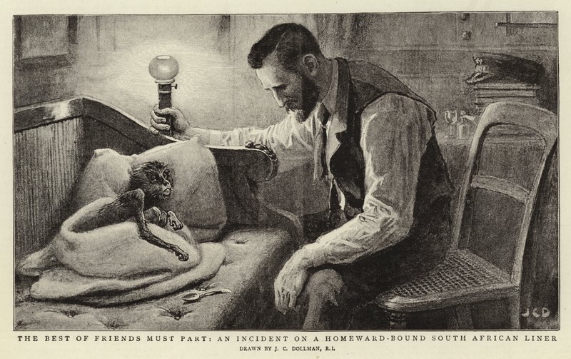 Nejlepší z přátel se musí rozloučit, Incident na jihoafrické lodi směřující domů od John Charles Dollman