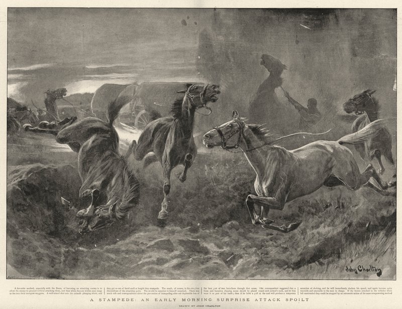 A Stampede, ranní překvapivý útok zkažený od John Charlton