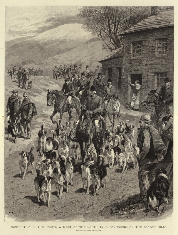 Foxhunting na severu, setkání foxhoundů ze Severního Tyne na Border Hills od John Charlton