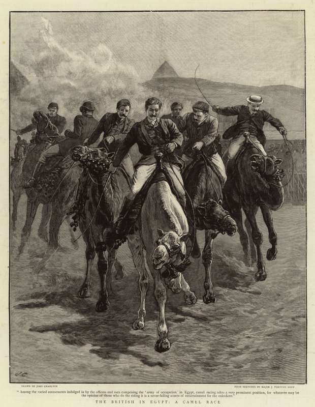 Britové v Egyptě, Velbloudí rasa od John Charlton
