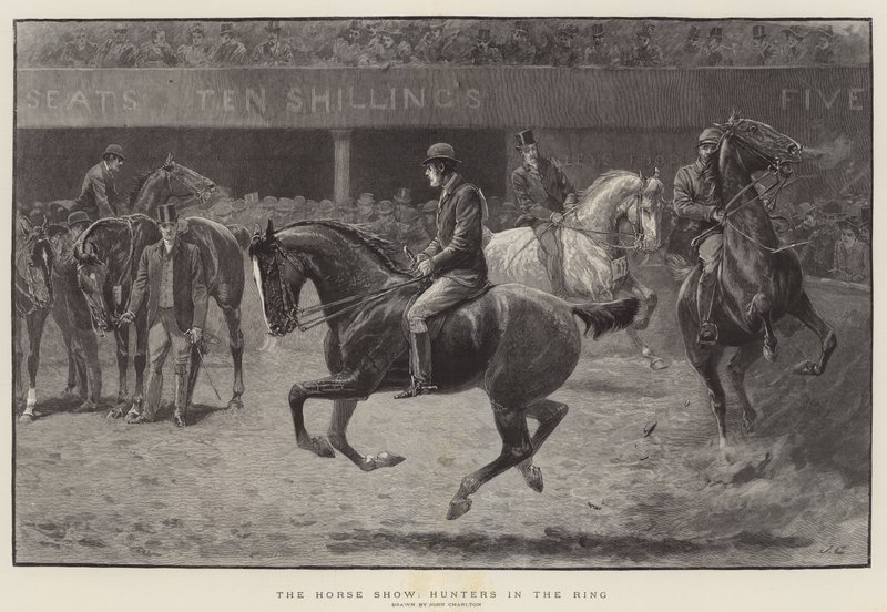 The Horse Show, lovci v ringu od John Charlton