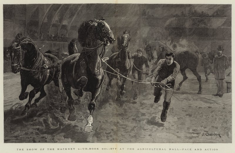 Show of the Hackney Stud-Book Society v Agricultural Hall, Pace and Action od John Charlton