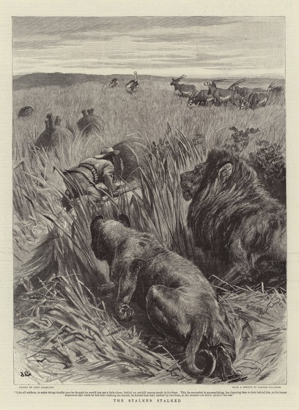 Stalker pronásledoval od John Charlton