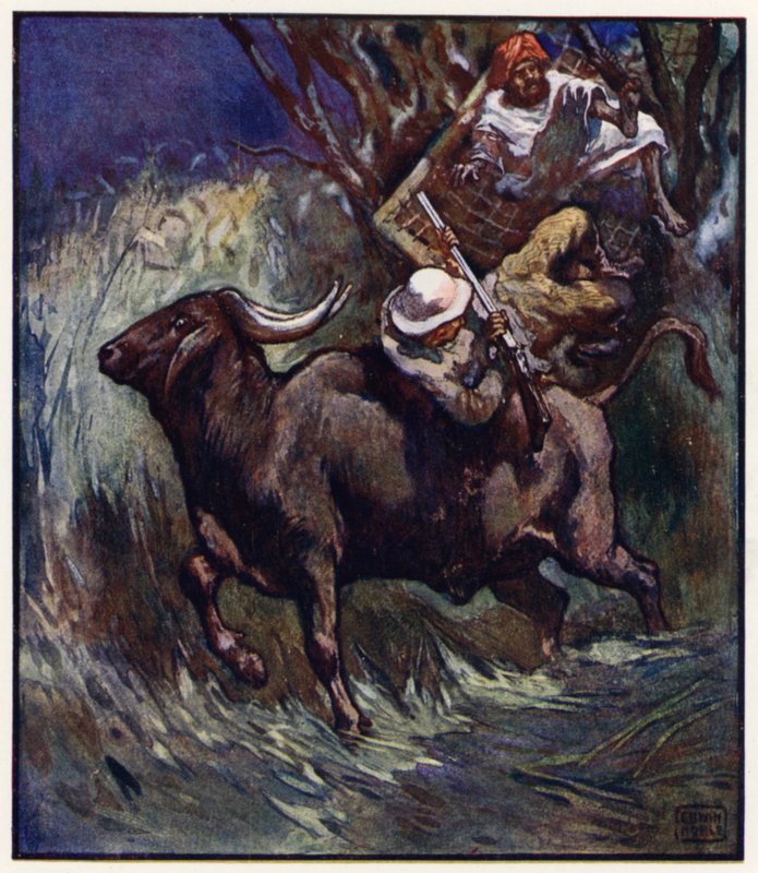 V tu chvíli se větve s rachotem povolily (barva lito) od John Edwin Noble