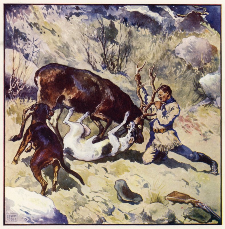 Ta rvačka by byla pro diváka zajímavá a vzrušující (barva lito) od John Edwin Noble