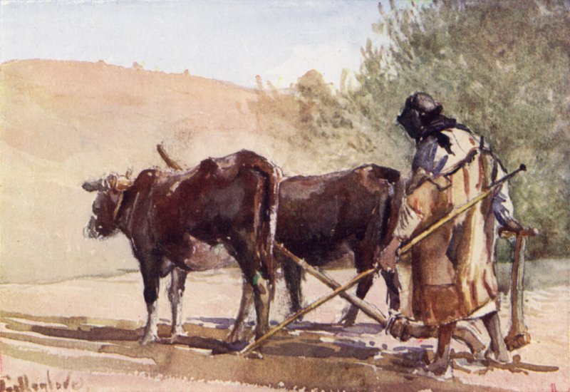 Orba na Olivové hoře (barva litho) od John Fulleylove