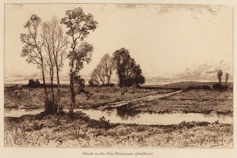 Vřesoviště v New Forest, poblíž Lyndhurstu (rytina) od John Fullwood