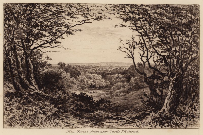 New Forest z okolí Castle Malwood (rytina) od John Fullwood