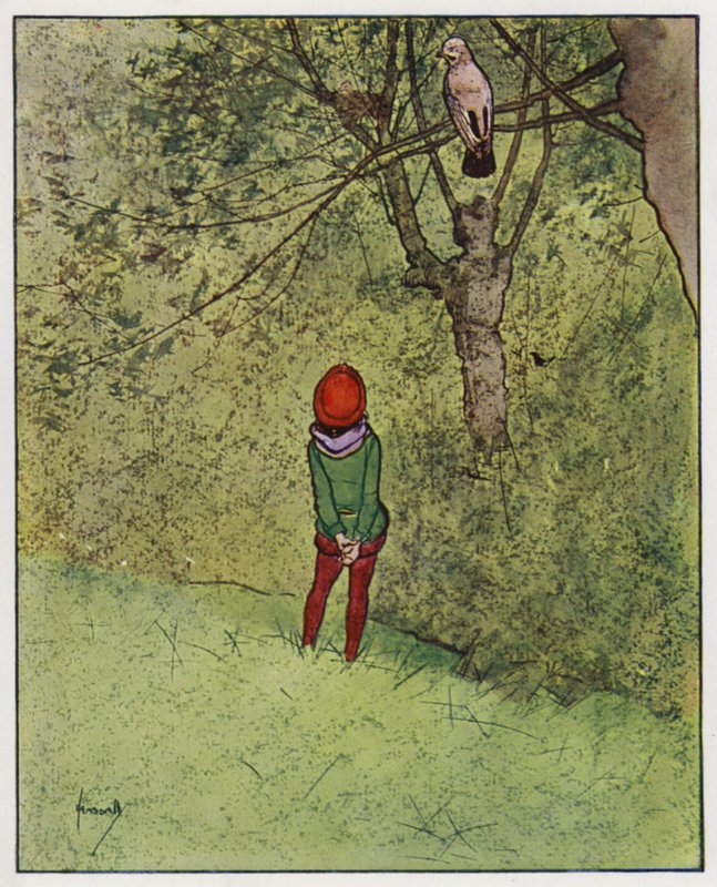 sojka (barva lito) od John Hassall