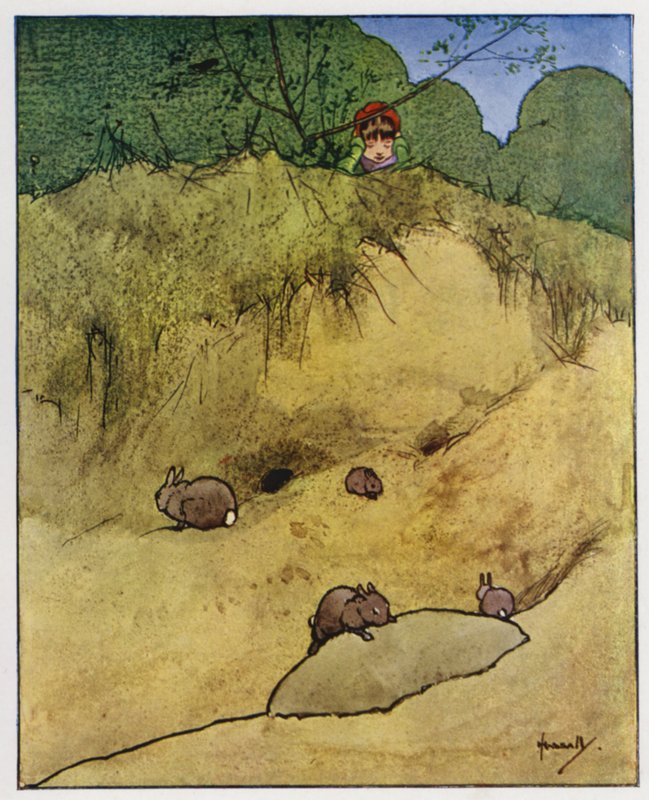 Králík (barva lito) od John Hassall