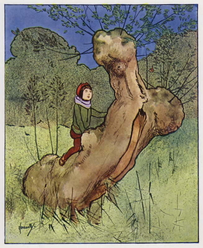 Střízlík (barva lito) od John Hassall