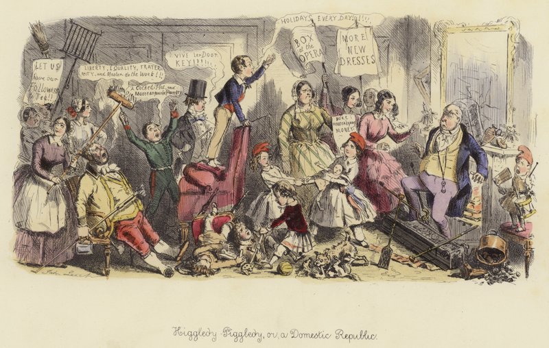 Higgledy-Piggledy neboli domácí republika od John Leech