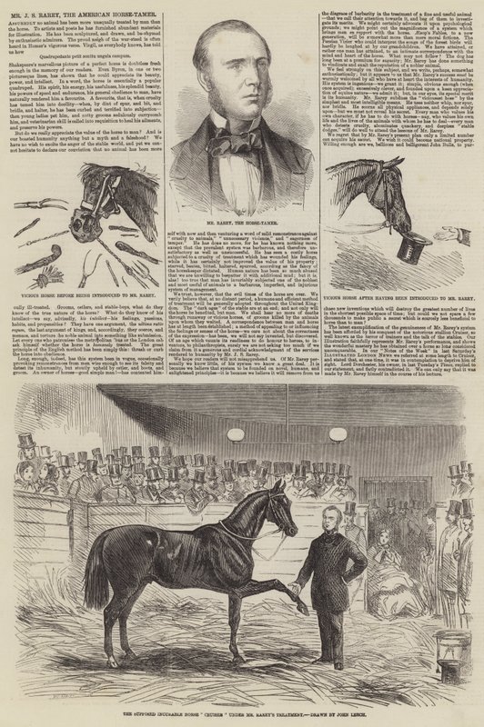 Pan J. S. Rarey, americký krotitel koní od John Leech