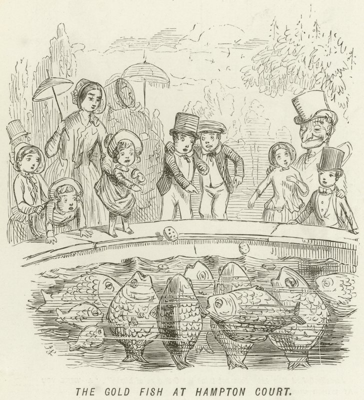 Zlatá rybka v Hampton Court od John Leech