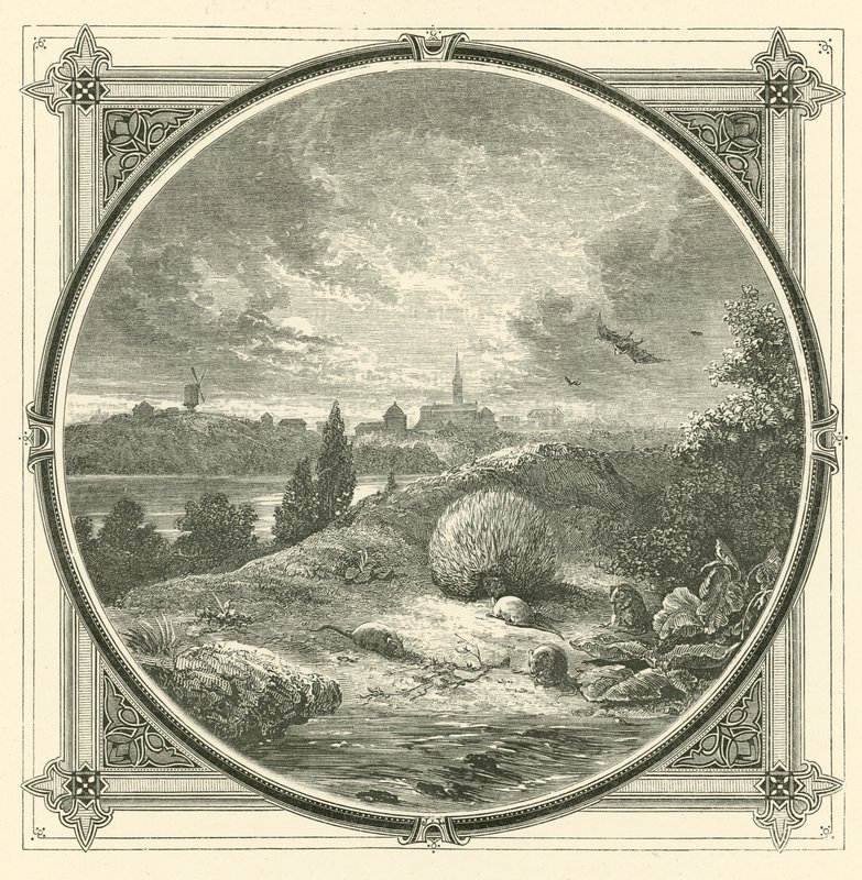 Hrát, ale cudně (rytina) od John Leighton