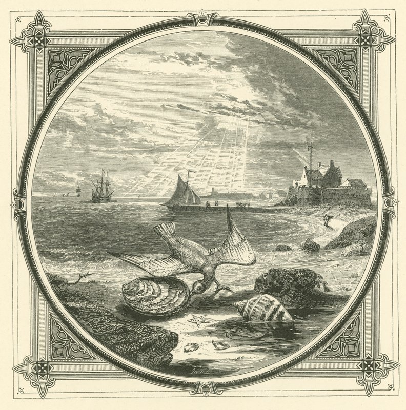 kousnutý kousnutý (rytina) od John Leighton